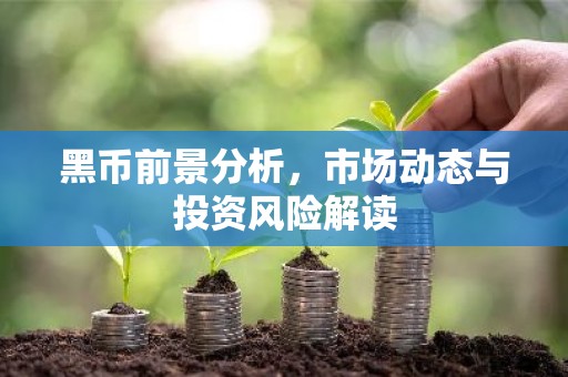 黑币前景分析，市场动态与投资风险解读