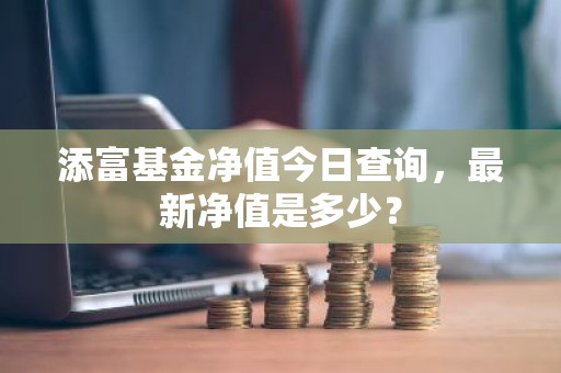 添富基金净值今日查询，最新净值是多少？