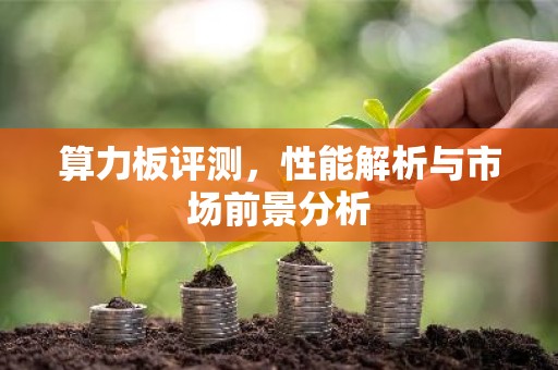 算力板评测，性能解析与市场前景分析