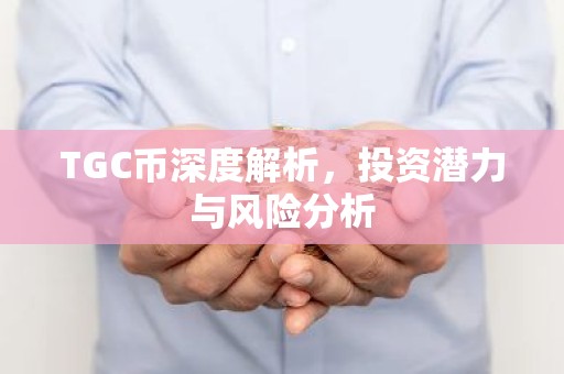 TGC币深度解析，投资潜力与风险分析