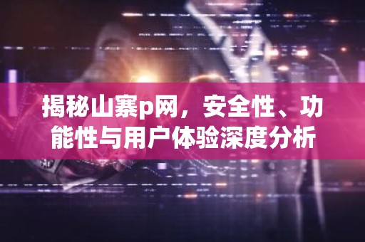 揭秘山寨p网，安全性、功能性与用户体验深度分析