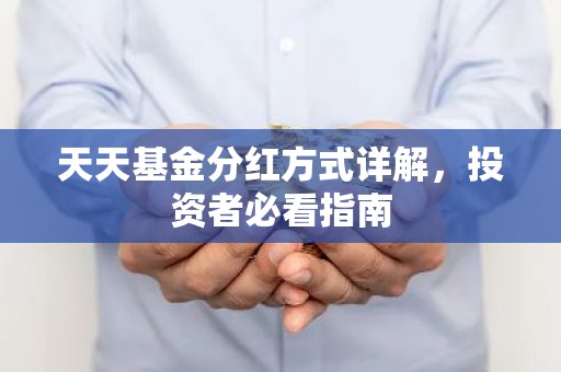 天天基金分红方式详解，投资者必看指南