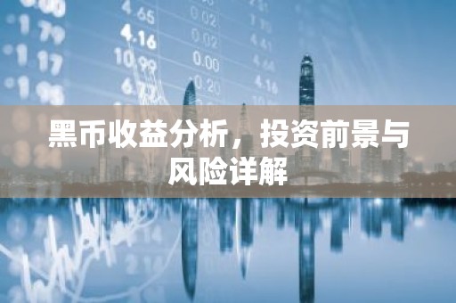 黑币收益分析，投资前景与风险详解