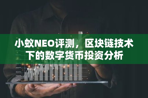 小蚁NEO评测，区块链技术下的数字货币投资分析