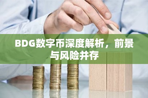 BDG数字币深度解析，前景与风险并存