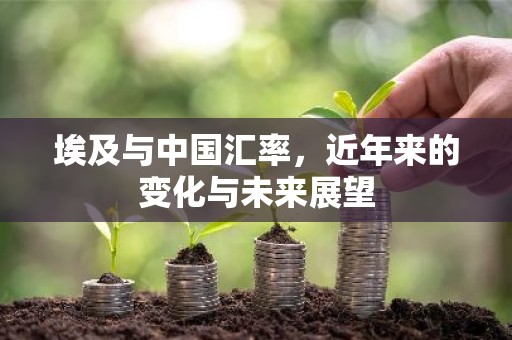 埃及与中国汇率，近年来的变化与未来展望