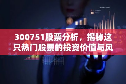 300751股票分析，揭秘这只热门股票的投资价值与风险