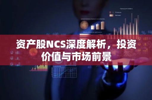 资产股NCS深度解析，投资价值与市场前景