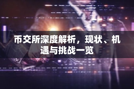 币交所深度解析，现状、机遇与挑战一览