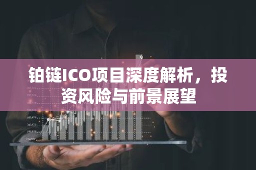铂链ICO项目深度解析，投资风险与前景展望