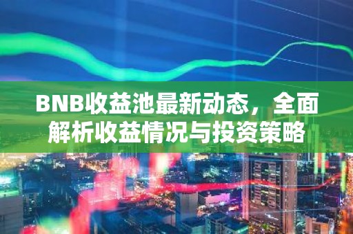BNB收益池最新动态，全面解析收益情况与投资策略