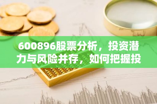 600896股票分析，投资潜力与风险并存，如何把握投资机会？