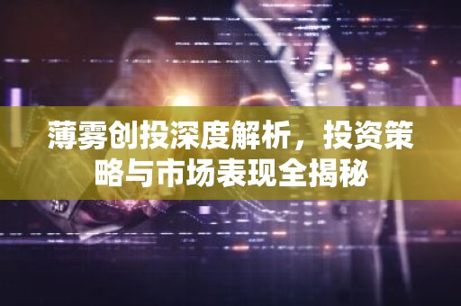 薄雾创投深度解析，投资策略与市场表现全揭秘