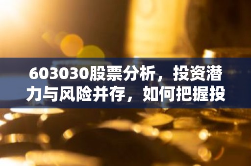 603030股票分析，投资潜力与风险并存，如何把握投资机会？