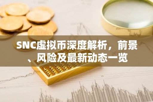 SNC虚拟币深度解析，前景、风险及最新动态一览