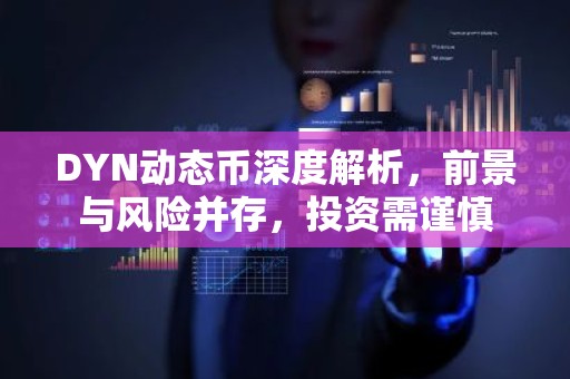 DYN动态币深度解析，前景与风险并存，投资需谨慎