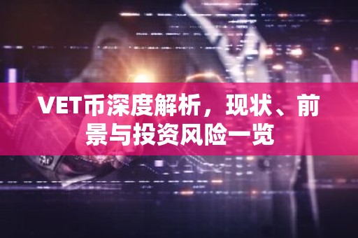 VET币深度解析，现状、前景与投资风险一览