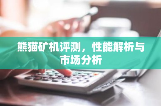 熊猫矿机评测，性能解析与市场分析
