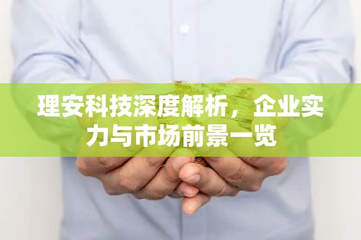 理安科技深度解析，企业实力与市场前景一览