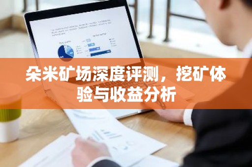 朵米矿场深度评测，挖矿体验与收益分析