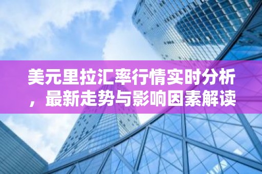 美元里拉汇率行情实时分析，最新走势与影响因素解读