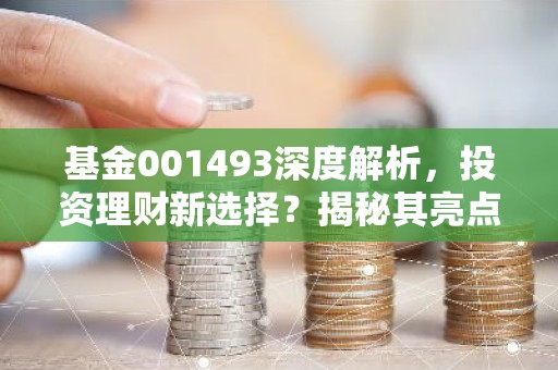 基金001493深度解析，投资理财新选择？揭秘其亮点与风险！