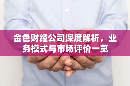 金色财经公司深度解析，业务模式与市场评价一览