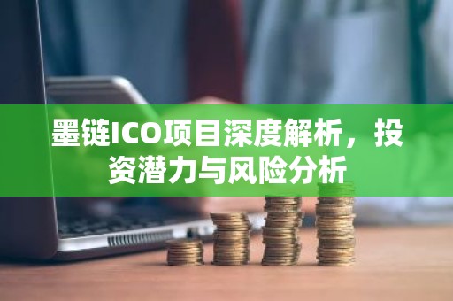 墨链ICO项目深度解析，投资潜力与风险分析