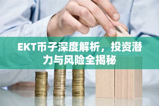 EKT币子深度解析，投资潜力与风险全揭秘