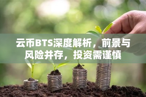 云币BTS深度解析，前景与风险并存，投资需谨慎