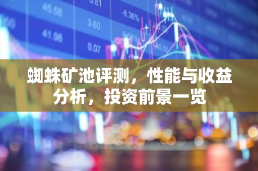 蜘蛛矿池评测，性能与收益分析，投资前景一览