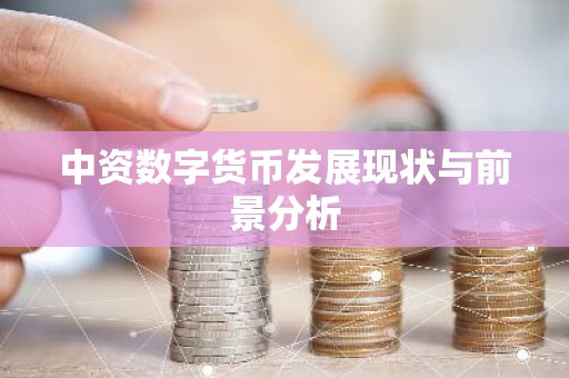 中资数字货币发展现状与前景分析