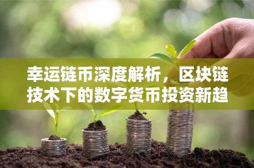 幸运链币深度解析，区块链技术下的数字货币投资新趋势
