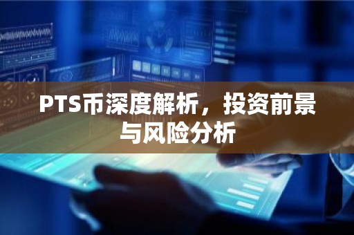 PTS币深度解析，投资前景与风险分析