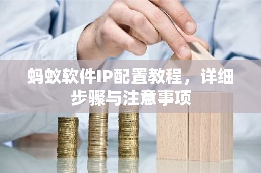 蚂蚁软件IP配置教程，详细步骤与注意事项