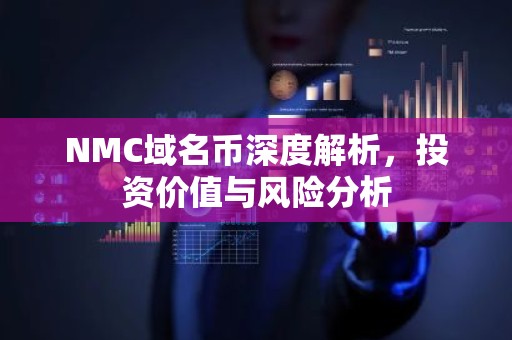 NMC域名币深度解析，投资价值与风险分析