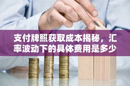 支付牌照获取成本揭秘，汇率波动下的具体费用是多少？