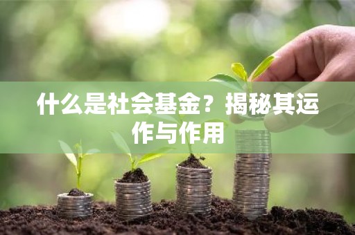 什么是社会基金？揭秘其运作与作用