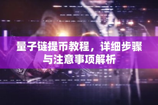 量子链提币教程，详细步骤与注意事项解析