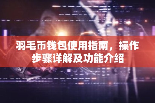 羽毛币钱包使用指南，操作步骤详解及功能介绍