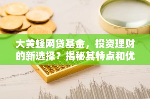 大黄蜂网贷基金，投资理财的新选择？揭秘其特点和优势