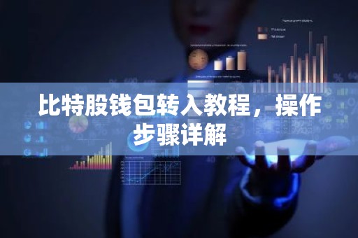 比特股钱包转入教程，操作步骤详解