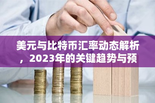 美元与比特币汇率动态解析，2023年的关键趋势与预测