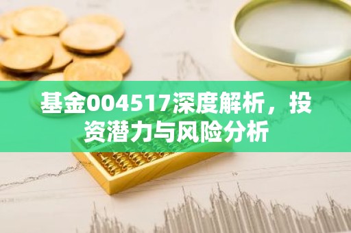 基金004517深度解析，投资潜力与风险分析