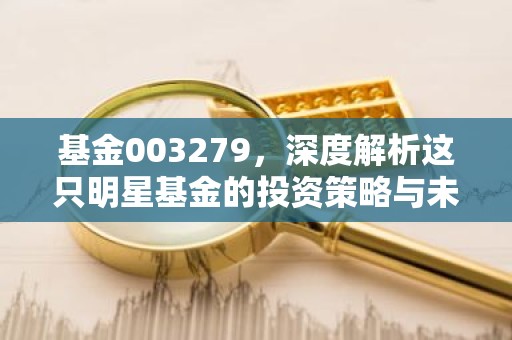 基金003279，深度解析这只明星基金的投资策略与未来展望