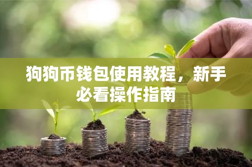 狗狗币钱包使用教程，新手必看操作指南
