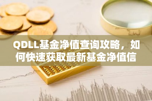 QDLL基金净值查询攻略，如何快速获取最新基金净值信息？