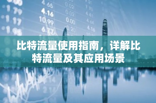 比特流量使用指南，详解比特流量及其应用场景