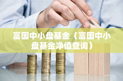 富国中小盘基金（富国中小盘基金净值查询）