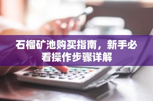 石榴矿池购买指南，新手必看操作步骤详解